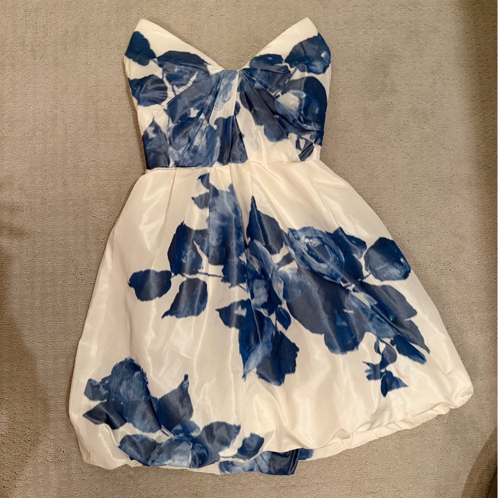 Monique Lhuillier White and Blue Floarl Dress